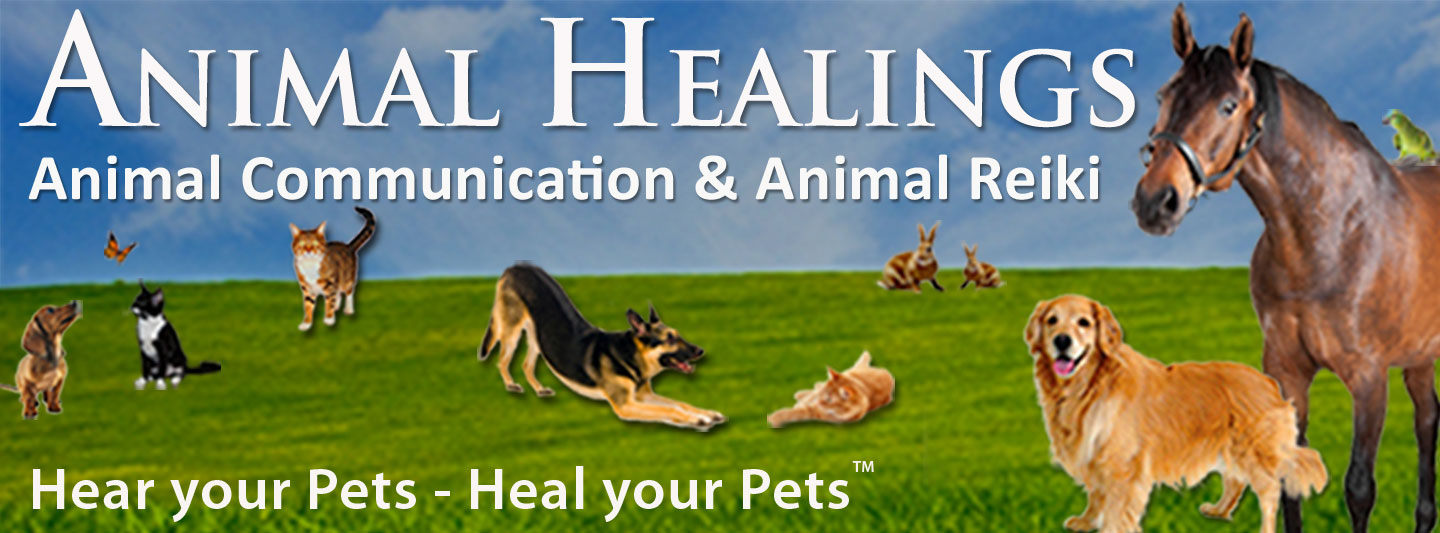 Hear Your Pets, Heal Your Pets